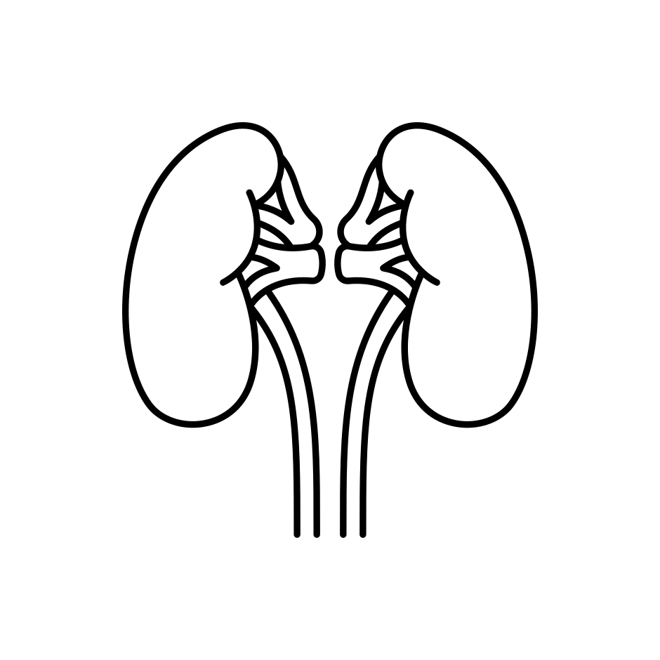 chirurgie urologique